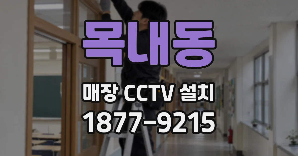목내동 매장 CCTV 설치