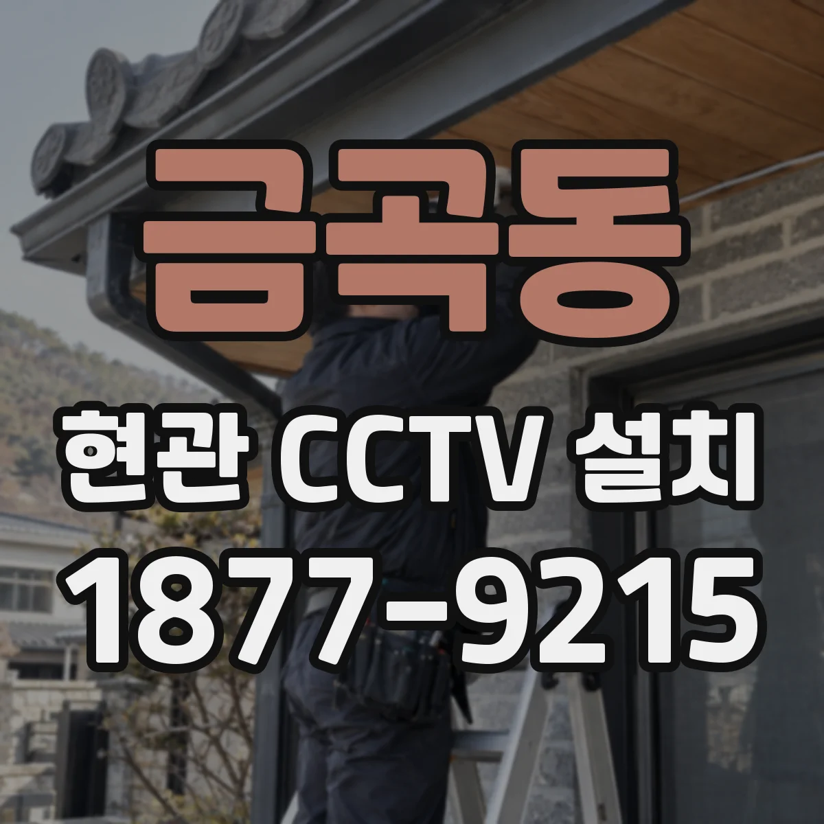 금곡동 현관 CCTV 설치