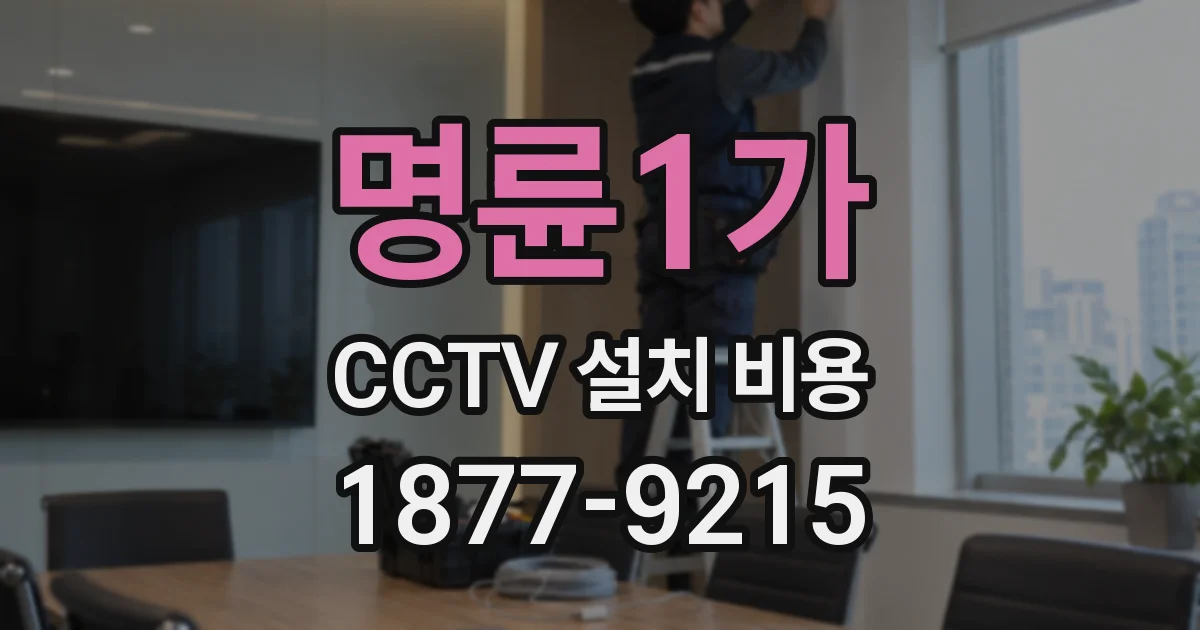 명륜1가 CCTV 설치 비용