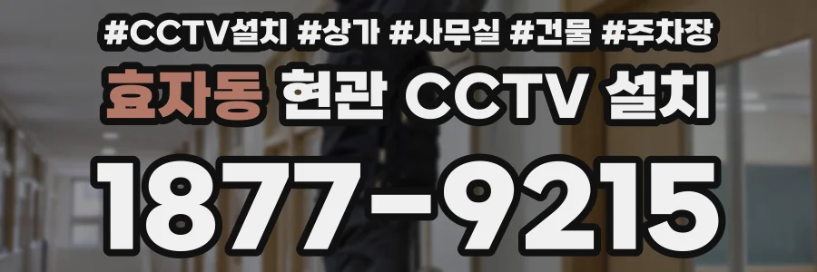 효자동 현관 CCTV 설치