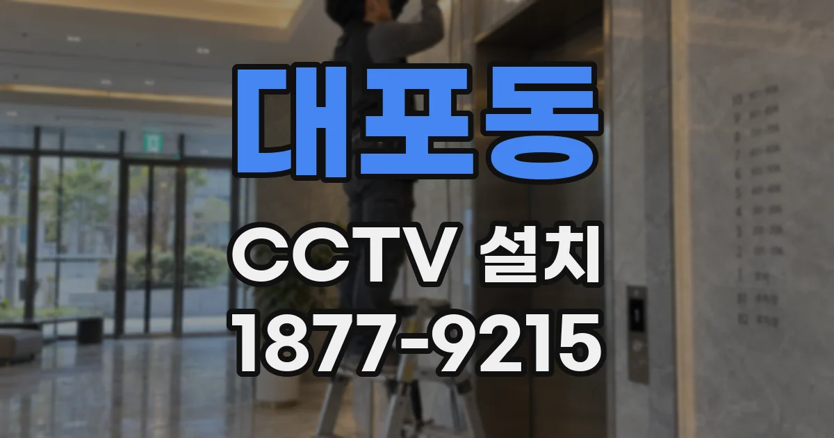 대포동 CCTV 설치
