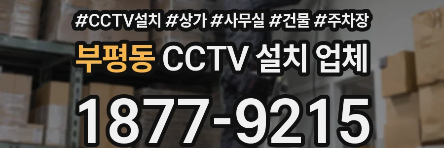 부평동 CCTV 설치 업체