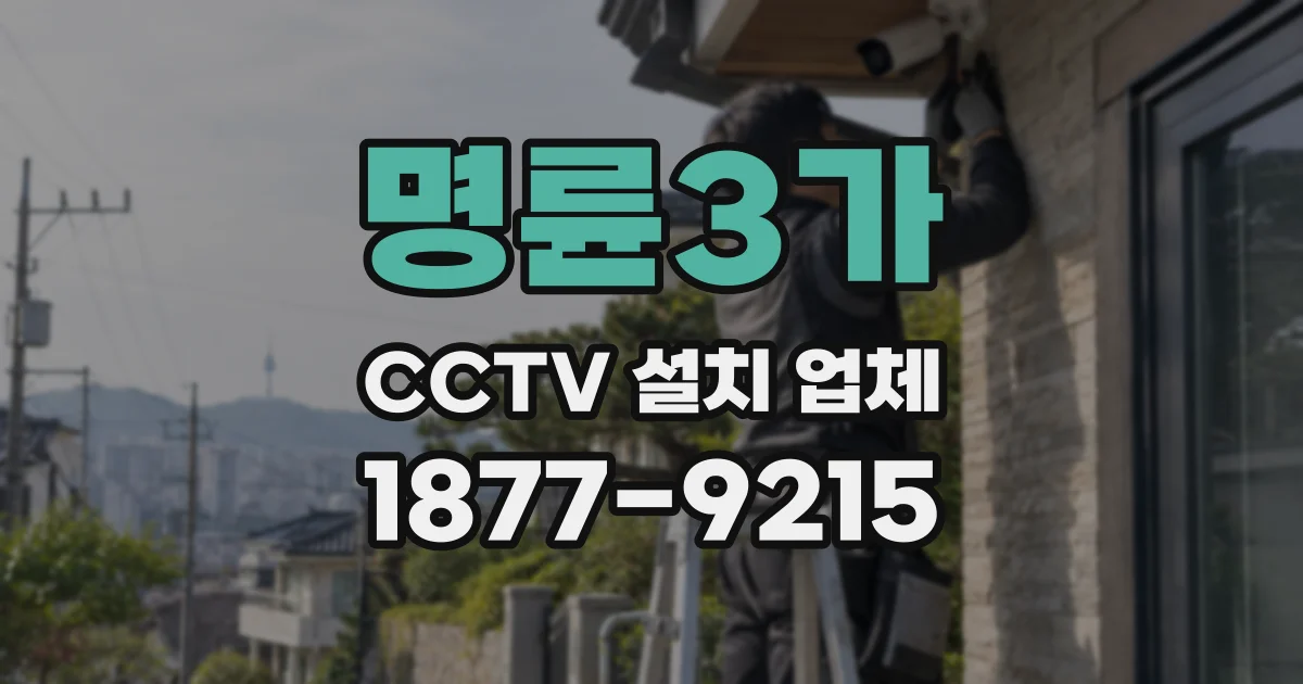 명륜3가 CCTV 설치 업체