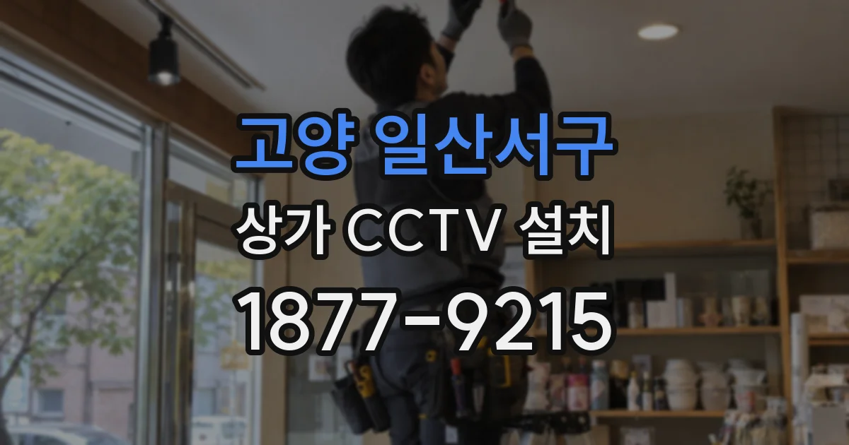 고양 일산서구 상가 CCTV 설치