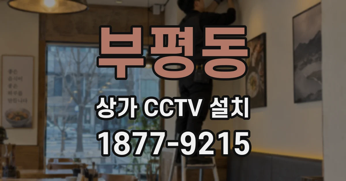 부평동 상가 CCTV 설치