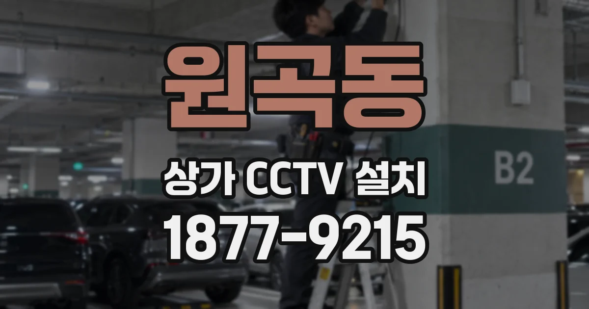 원곡동 상가 CCTV 설치