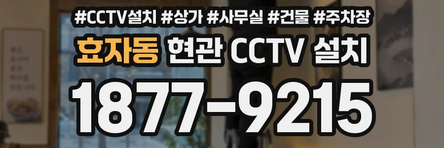 효자동 현관 CCTV 설치
