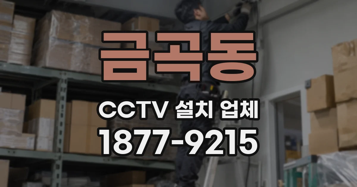 금곡동 CCTV 설치 업체