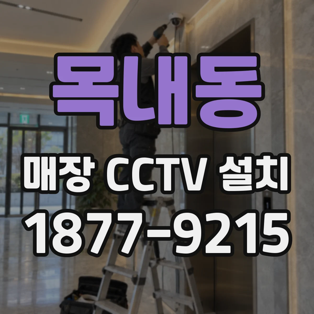 목내동 매장 CCTV 설치