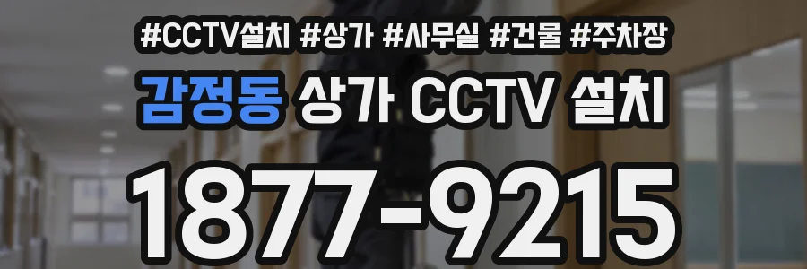 감정동 상가 CCTV 설치