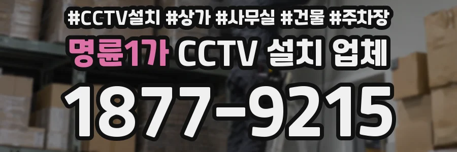명륜1가 CCTV 설치 업체