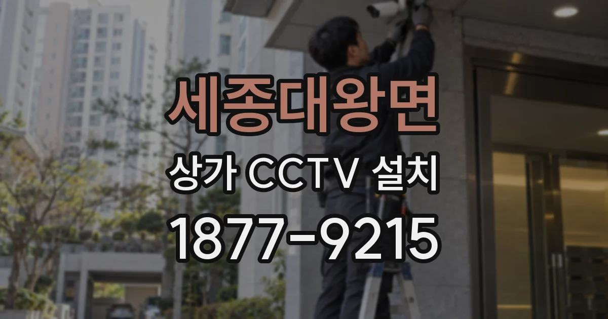 세종대왕면 상가 CCTV 설치