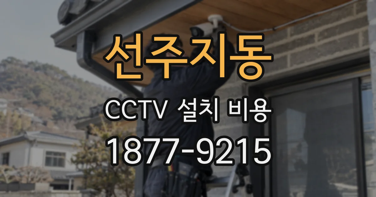 선주지동 CCTV 설치 비용