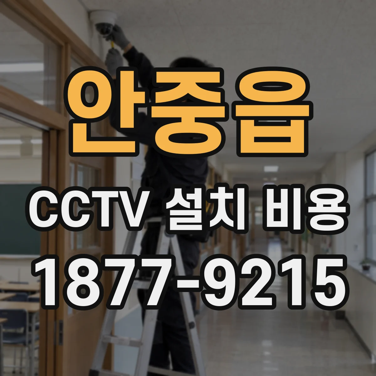 안중읍 CCTV 설치 비용