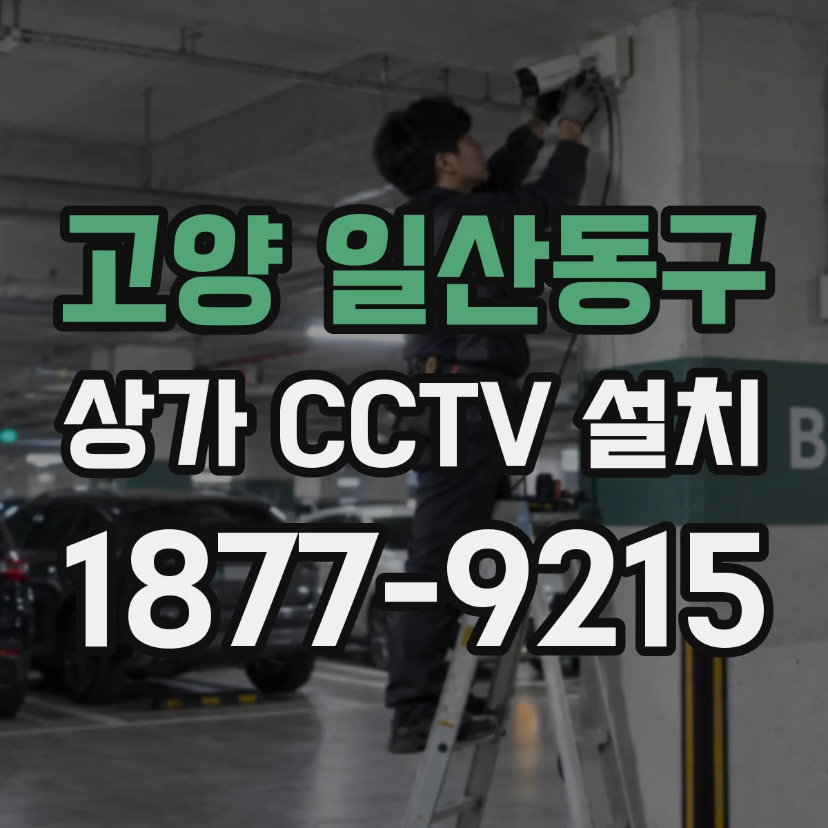 고양 일산동구 상가 CCTV 설치