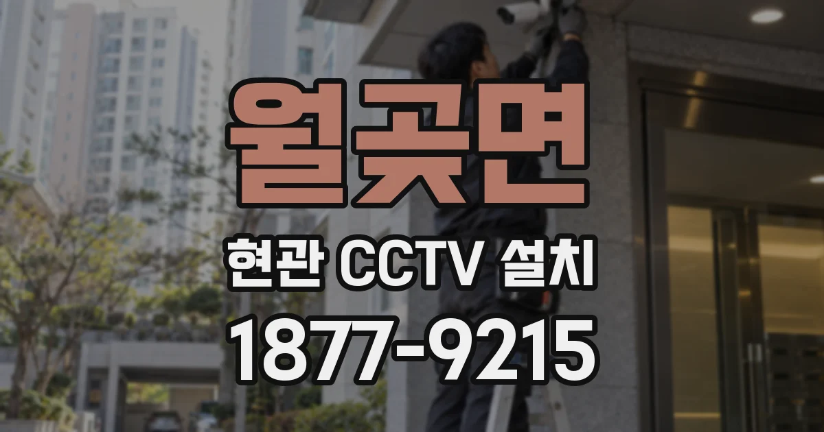 월곶면 현관 CCTV 설치