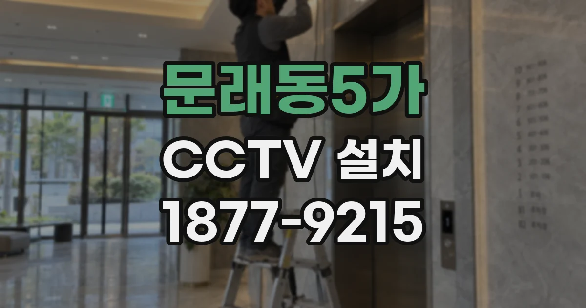 문래동5가 CCTV 설치