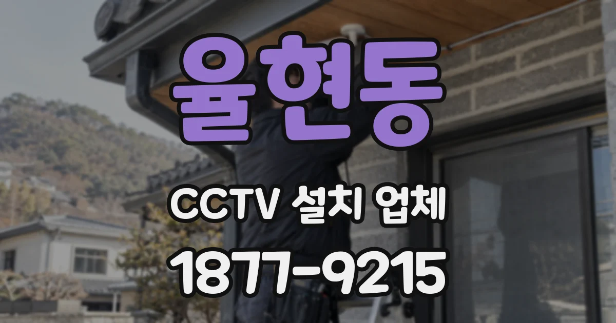 율현동 CCTV 설치 업체