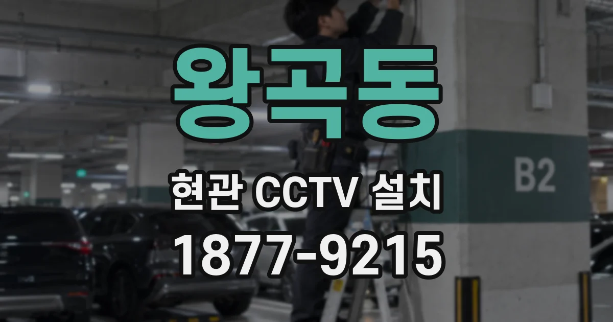 왕곡동 현관 CCTV 설치