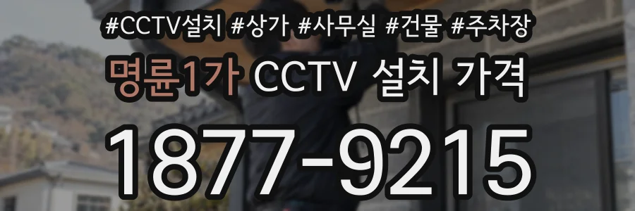 명륜1가 CCTV 설치 가격