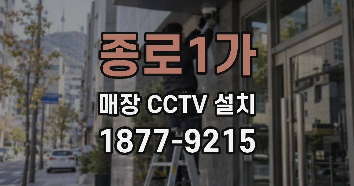 종로1가 매장 CCTV 설치