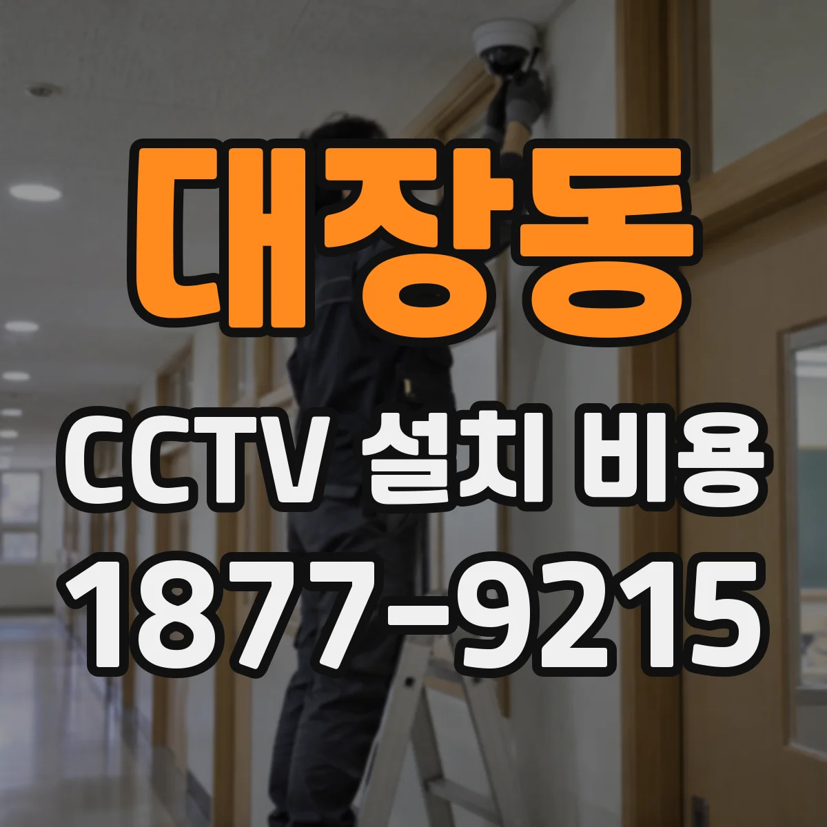 대장동 CCTV 설치 비용