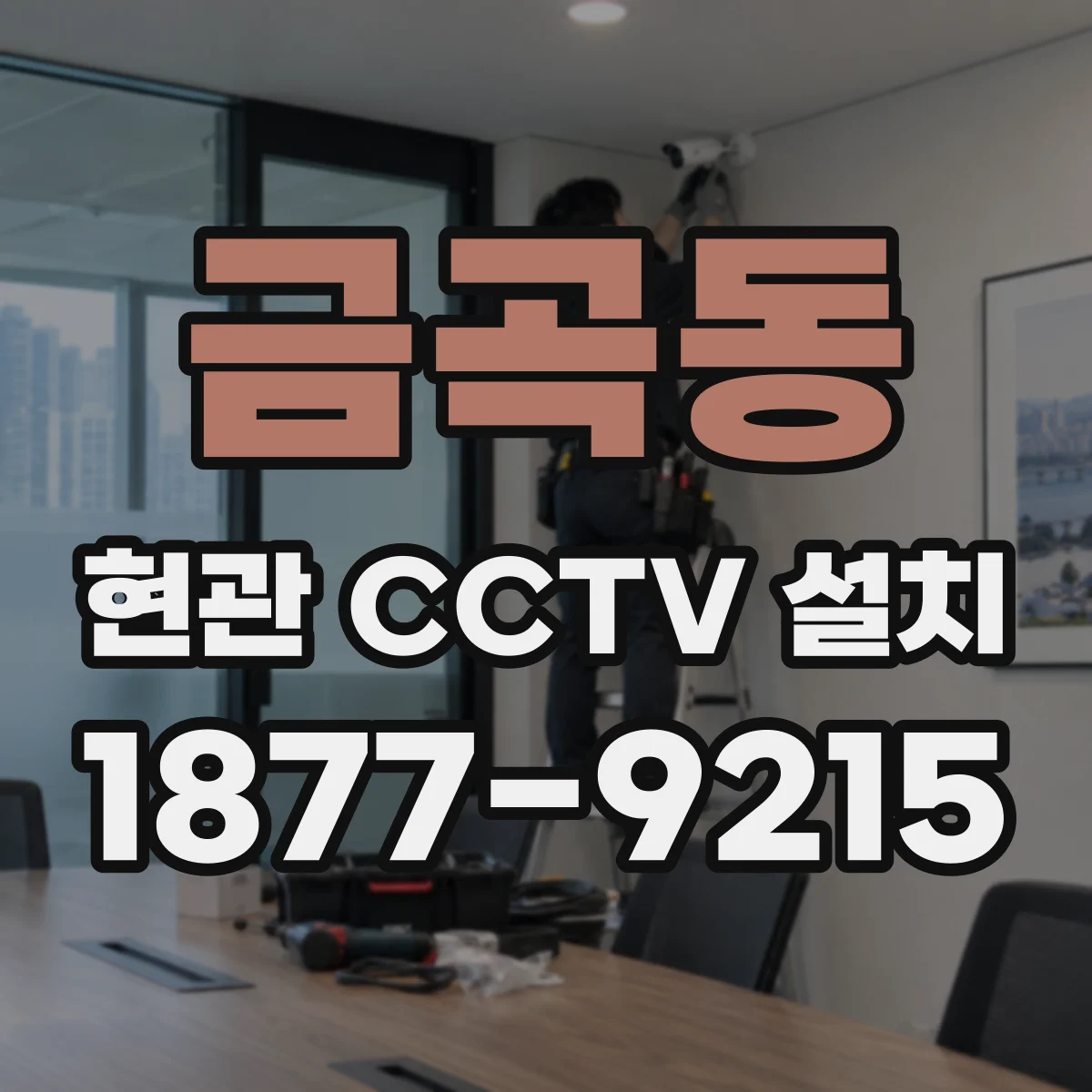 금곡동 현관 CCTV 설치