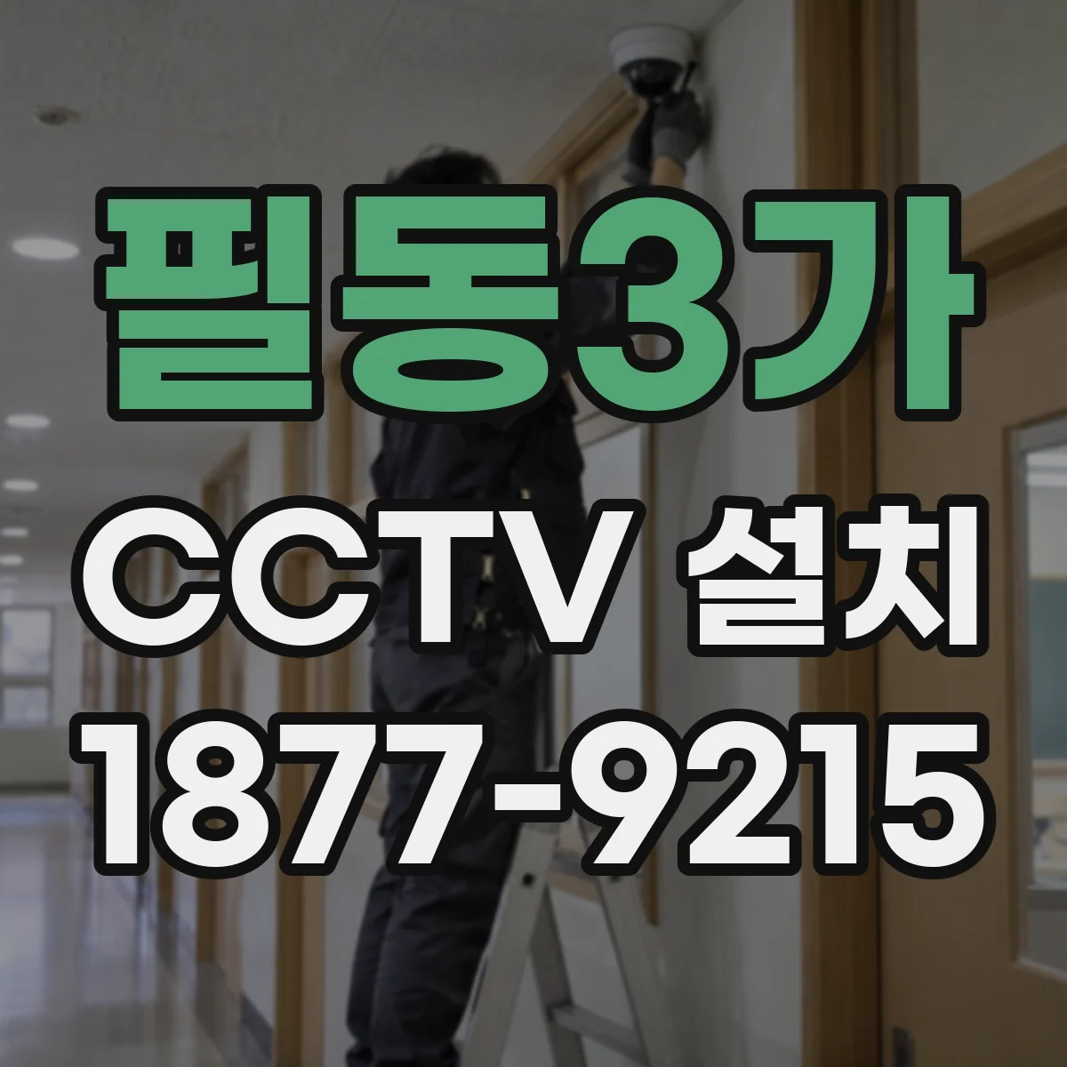 필동3가 CCTV 설치