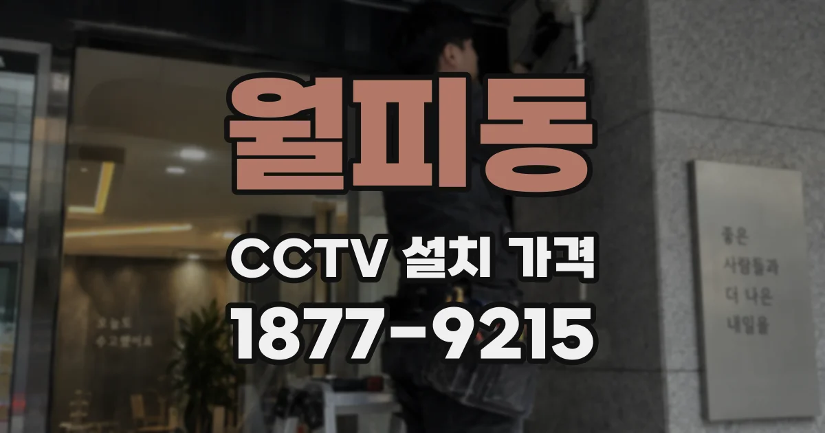 월피동 CCTV 설치 가격