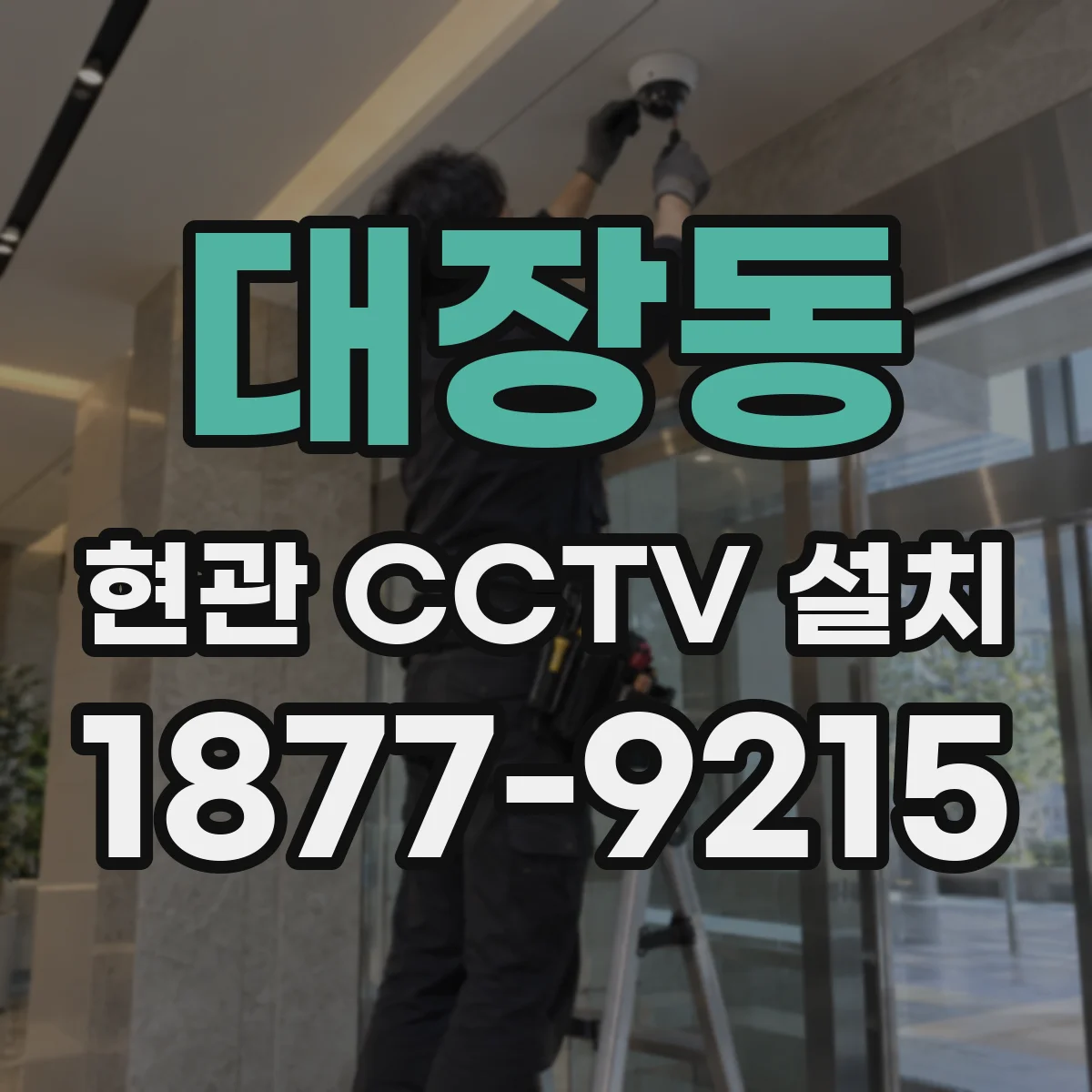 대장동 현관 CCTV 설치