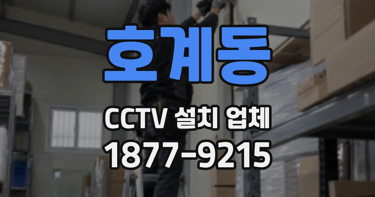 호계동 CCTV 설치 업체