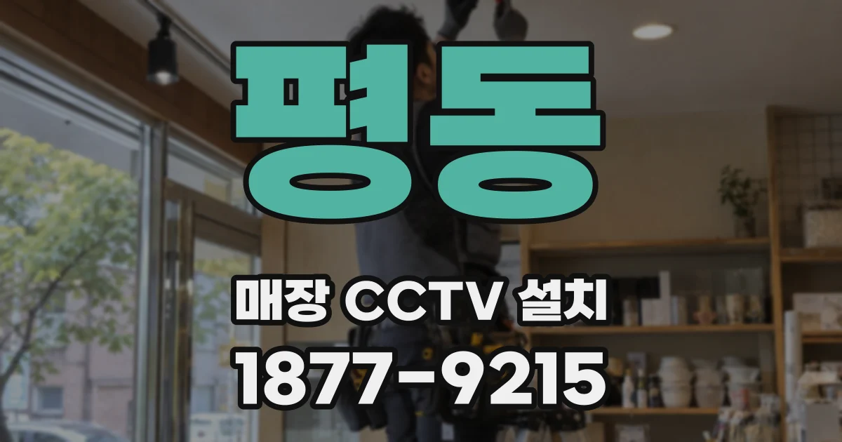 평동 매장 CCTV 설치