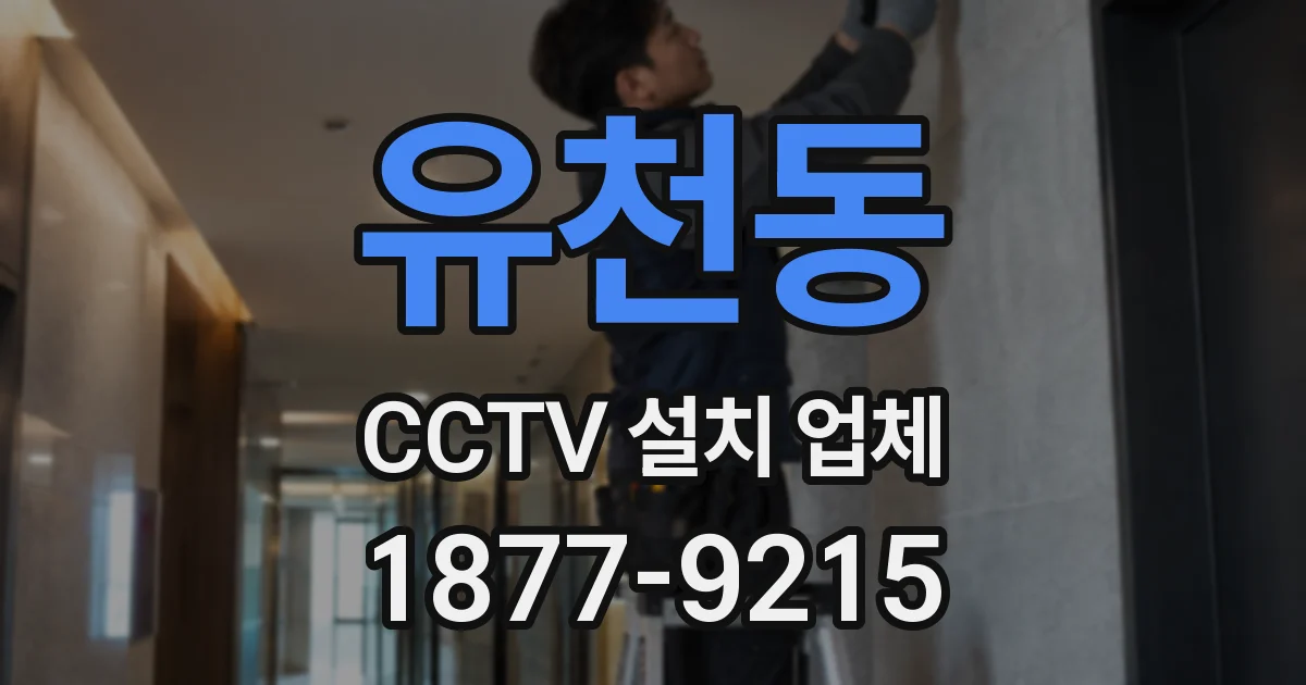 유천동 CCTV 설치 업체