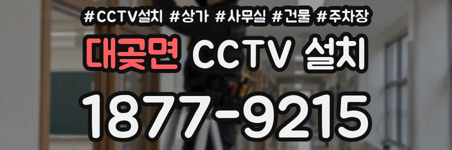 대곶면 CCTV 설치