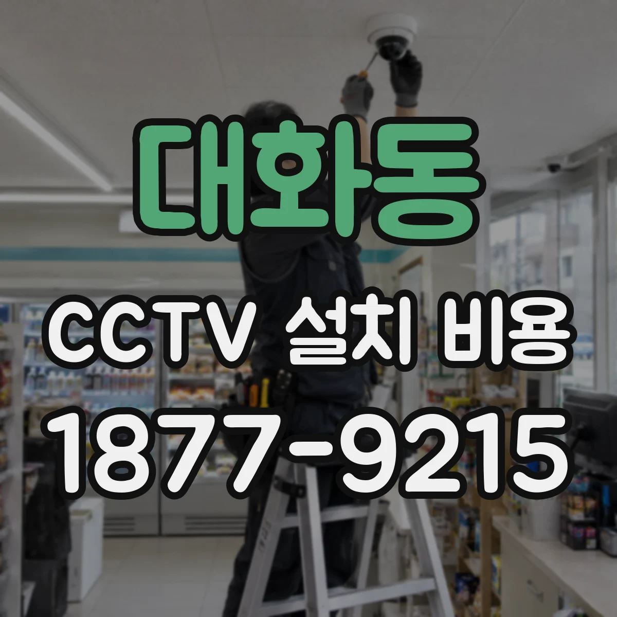 대화동 CCTV 설치 비용