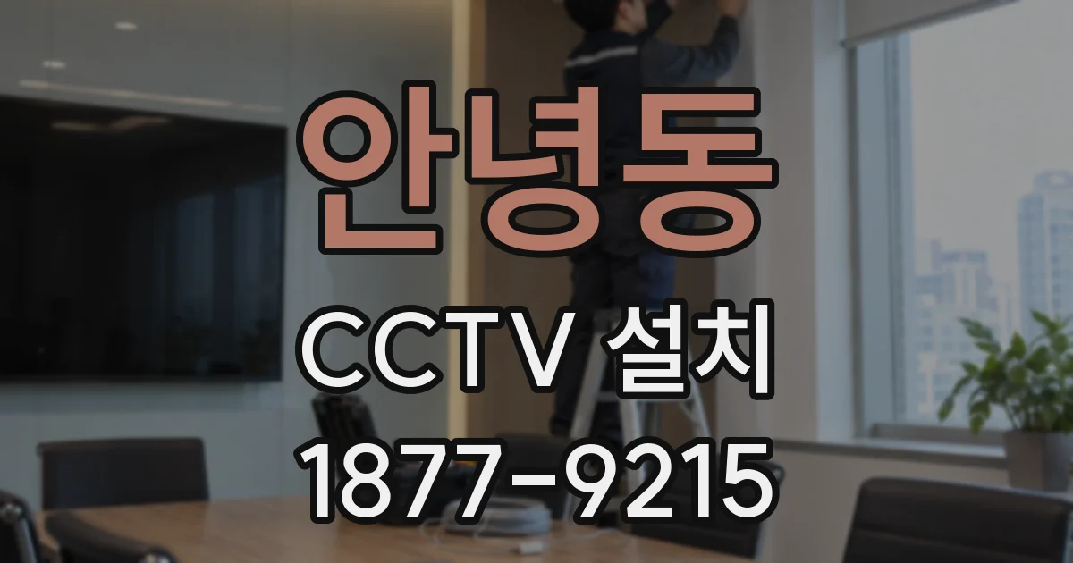 안녕동 CCTV 설치