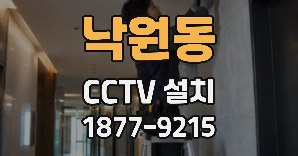 낙원동 CCTV 설치