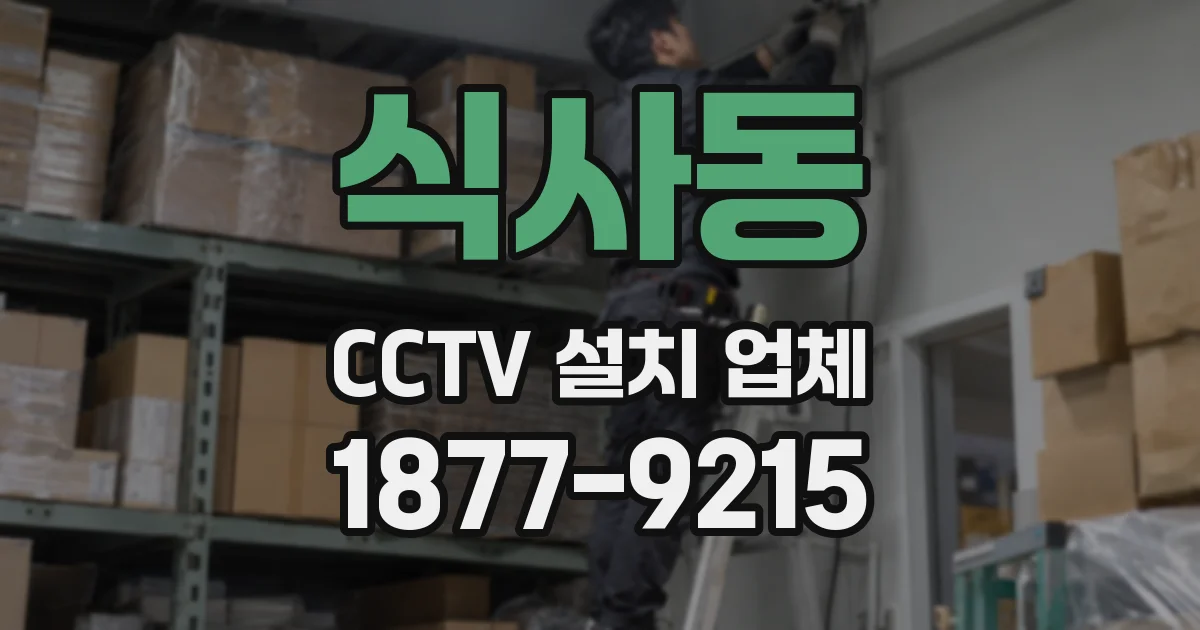 식사동 CCTV 설치 업체