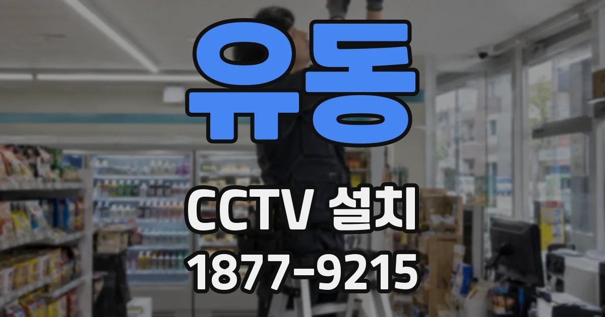 유동 CCTV 설치