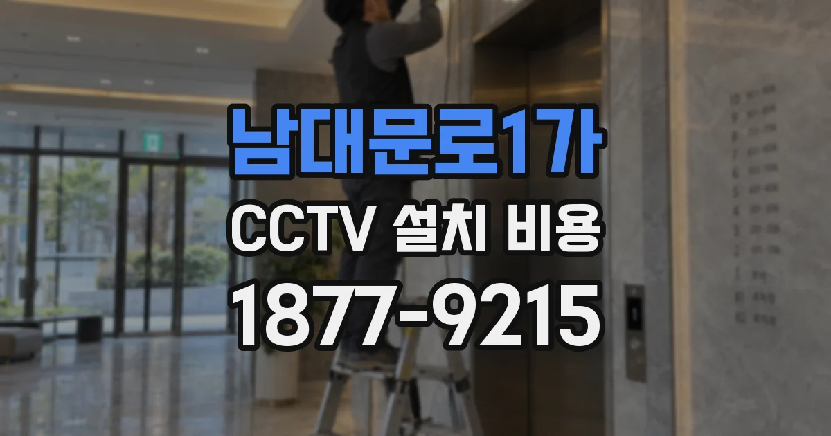 남대문로1가 CCTV 설치 비용