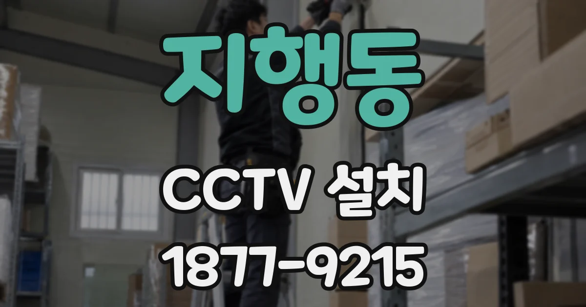 지행동 CCTV 설치