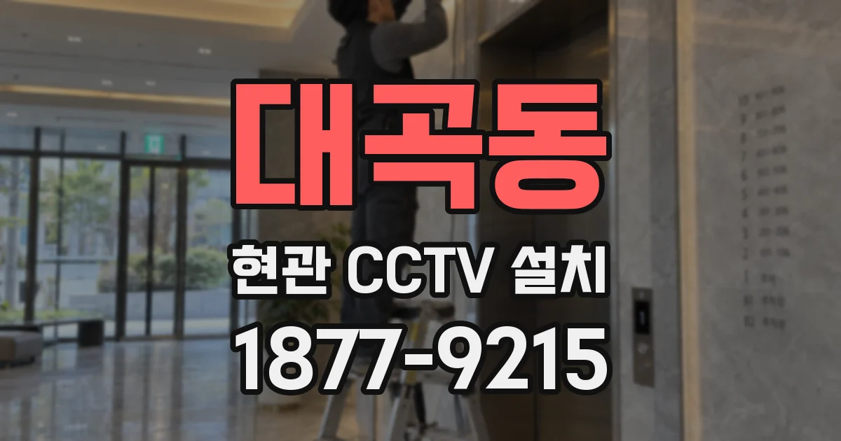 대곡동 현관 CCTV 설치