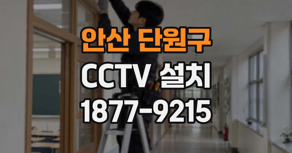 안산 단원구 CCTV 설치