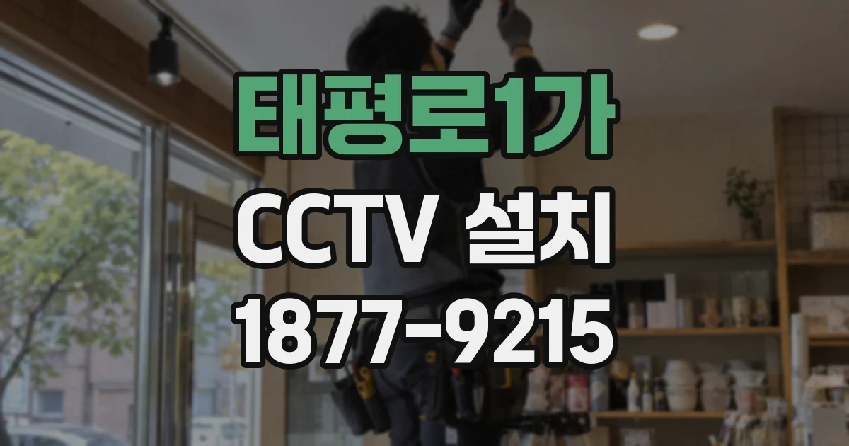 태평로1가 CCTV 설치
