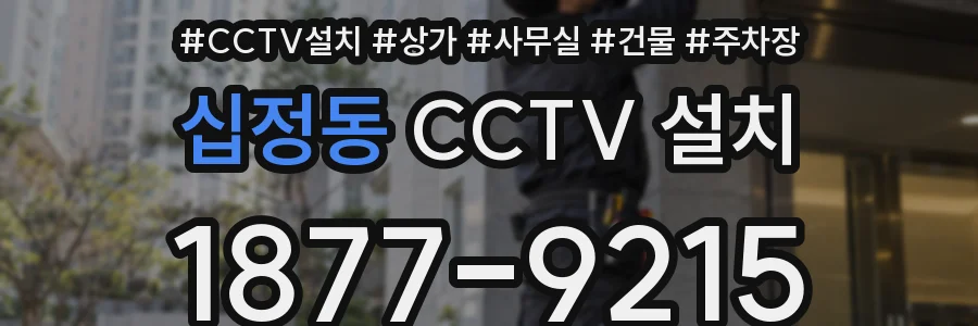 십정동 CCTV 설치