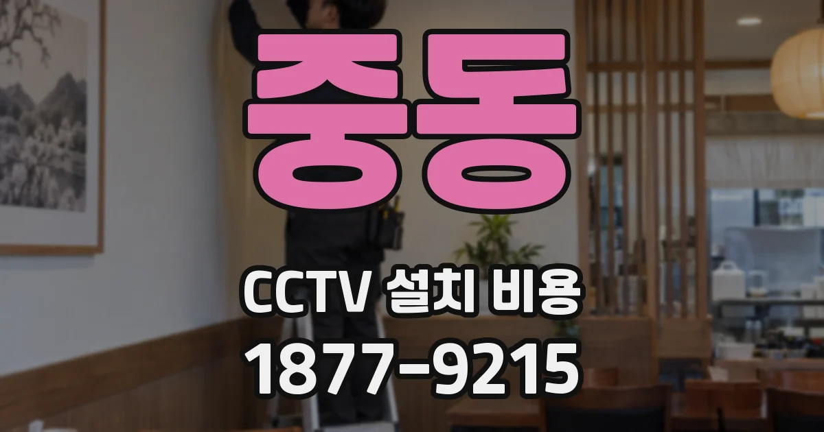 중동 CCTV 설치 비용