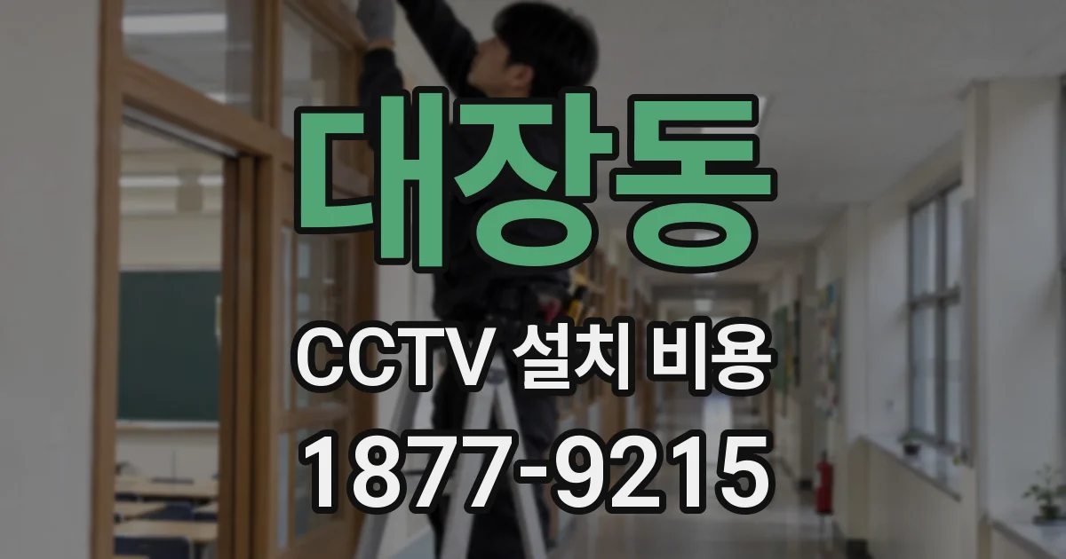 대장동 CCTV 설치 비용