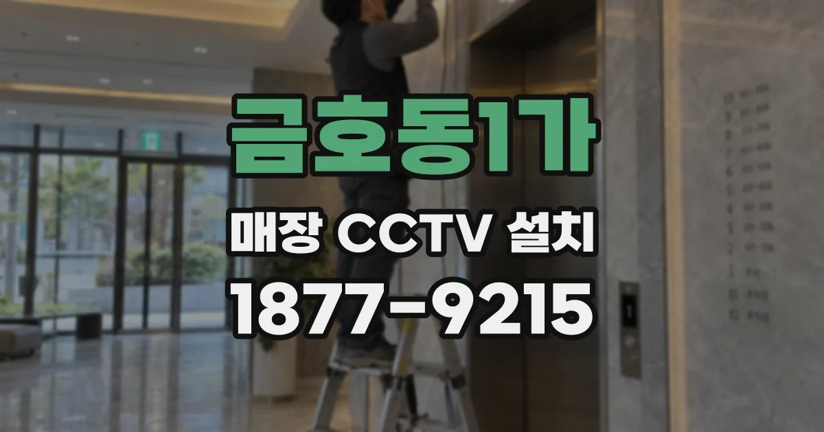 금호동1가 매장 CCTV 설치