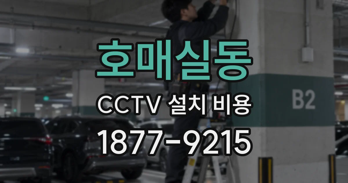 호매실동 CCTV 설치 비용