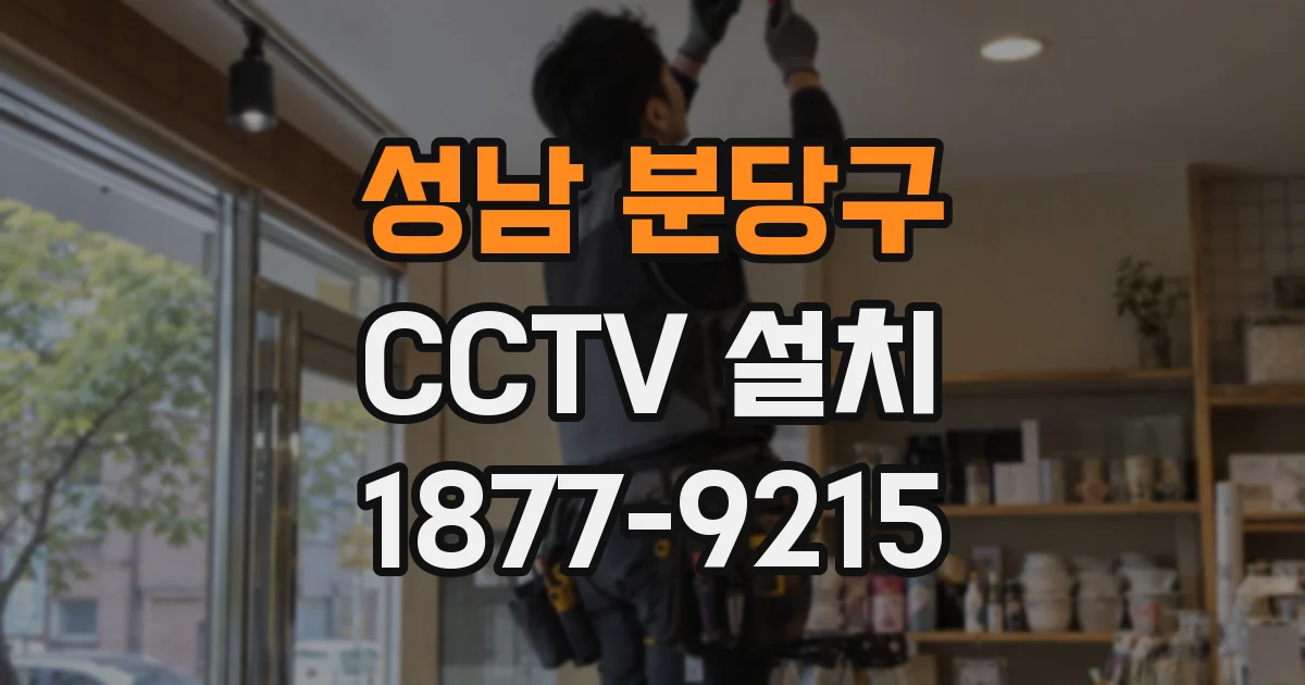 성남 분당구 CCTV 설치